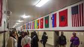 HHS Flags
